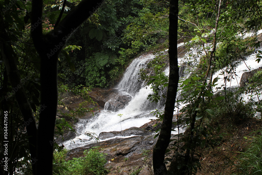 Waterfall and trees at Mt. Hypipamee National Park in Far North Queensland, Australia Waterfall and trees at Mt. Hypipamee National Park in Far North Queensland, Australia