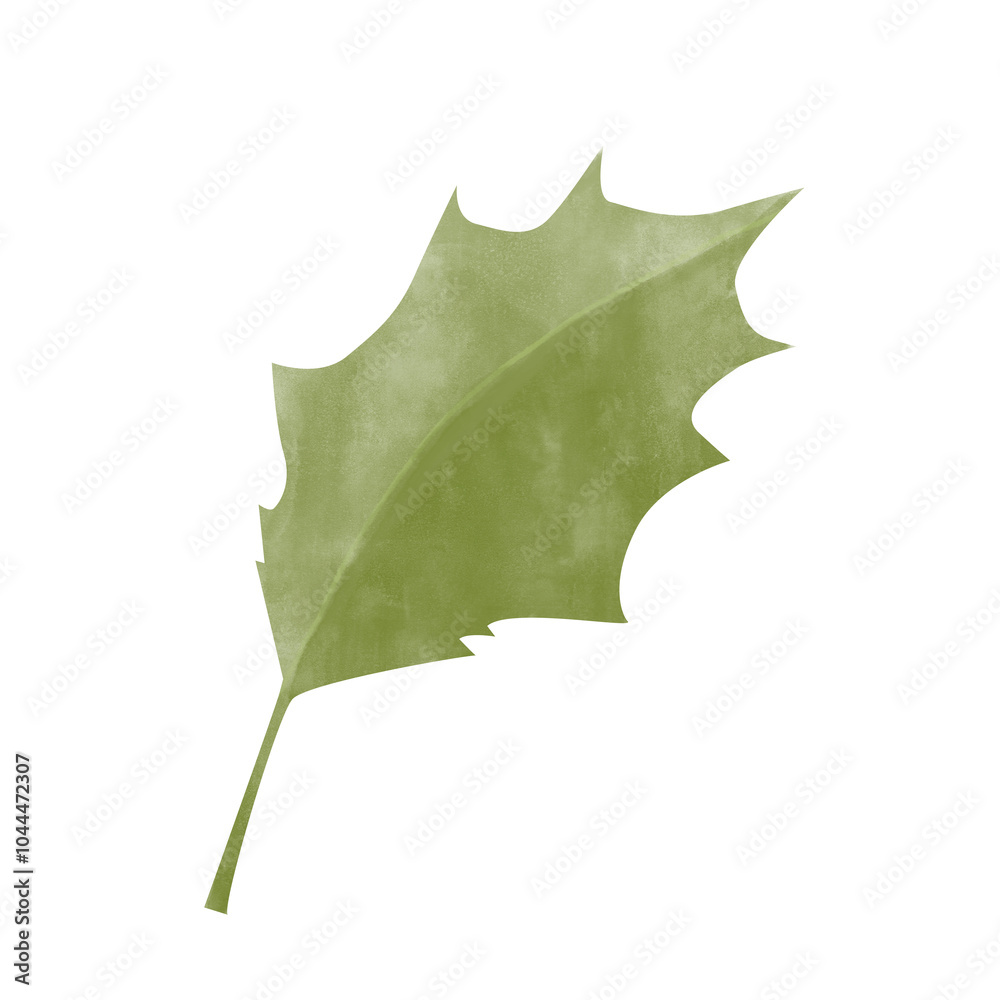 Fototapeta premium Watercolor Holly Leaf. Attribute of winter holidays. Digital Illustration for Printing and Web.