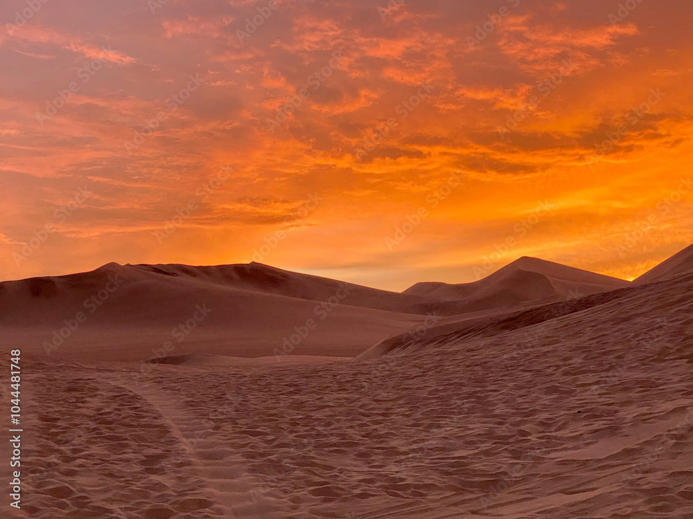 Fototapeta premium sunset over the desert