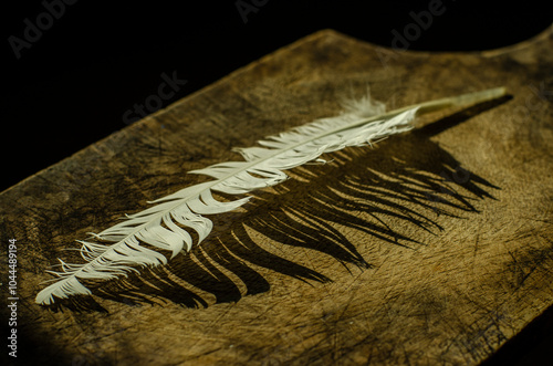 feather on a black