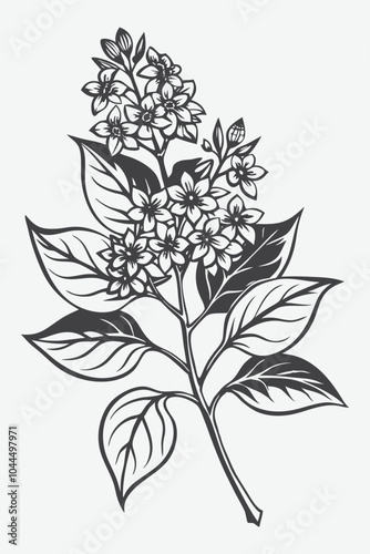 Lilac Branch with Flowers Silhouette Vector Illustration Featuring Elegant Floral Elements