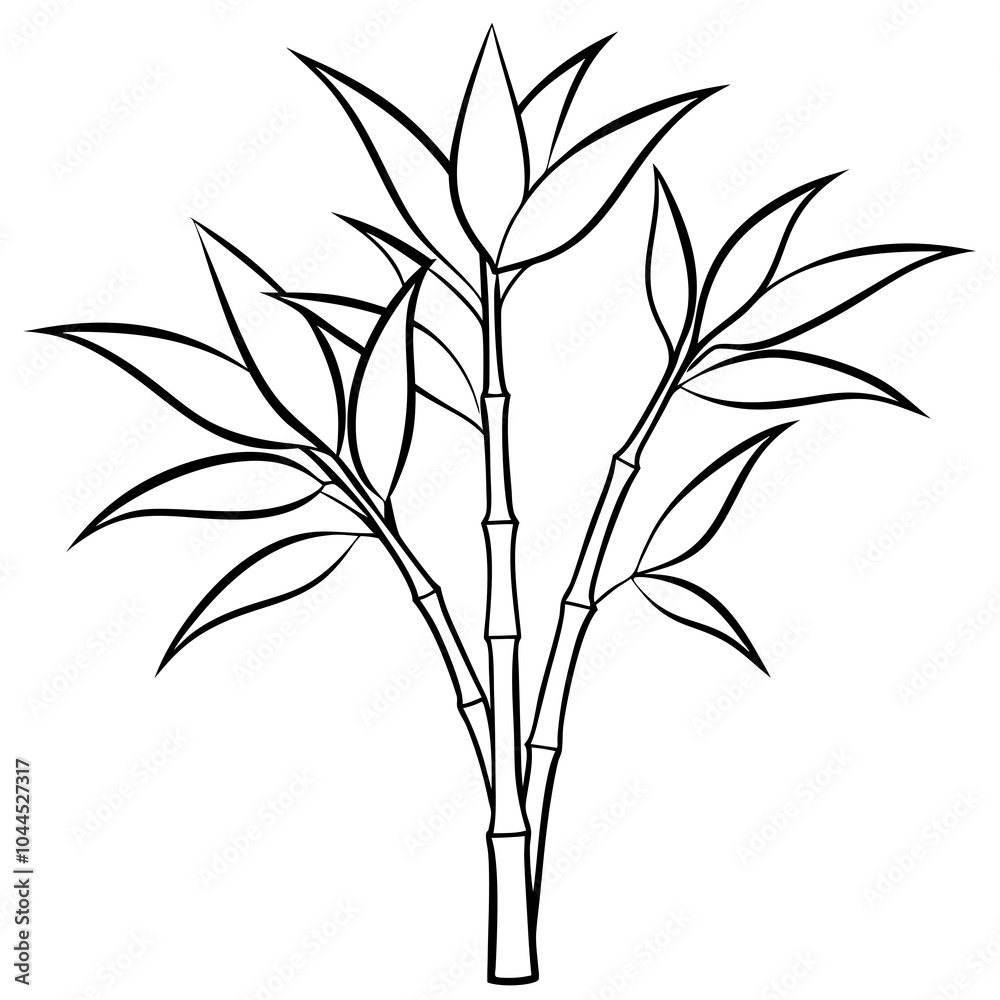 Obraz premium bamboo leaves isolated on white