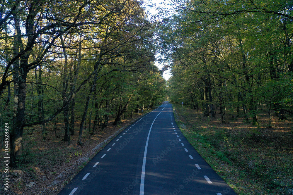 Fototapeta premium Aerial view of asphalt road in the forest