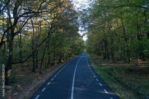 Aerial view of asphalt road in the forest