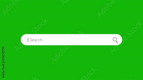 Search Bar With Magnifying Glass Animation Green Screen for Website SEO and Internet Optimization. 4K Resolution photo