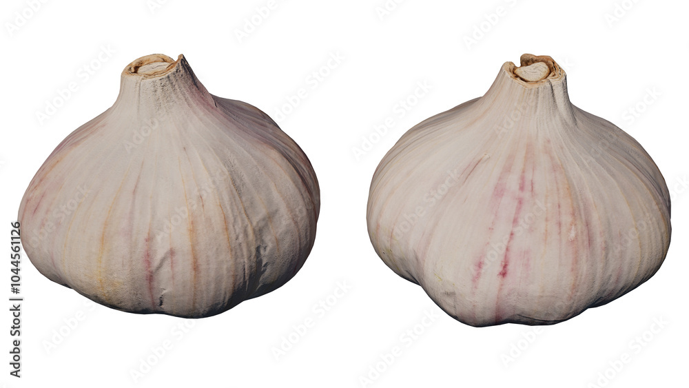 Obraz premium garlic and cloves isolated
