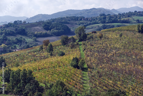 Scenic view of Italian hills with vineyards near Torrechiara castle, Parma. Italy. photo