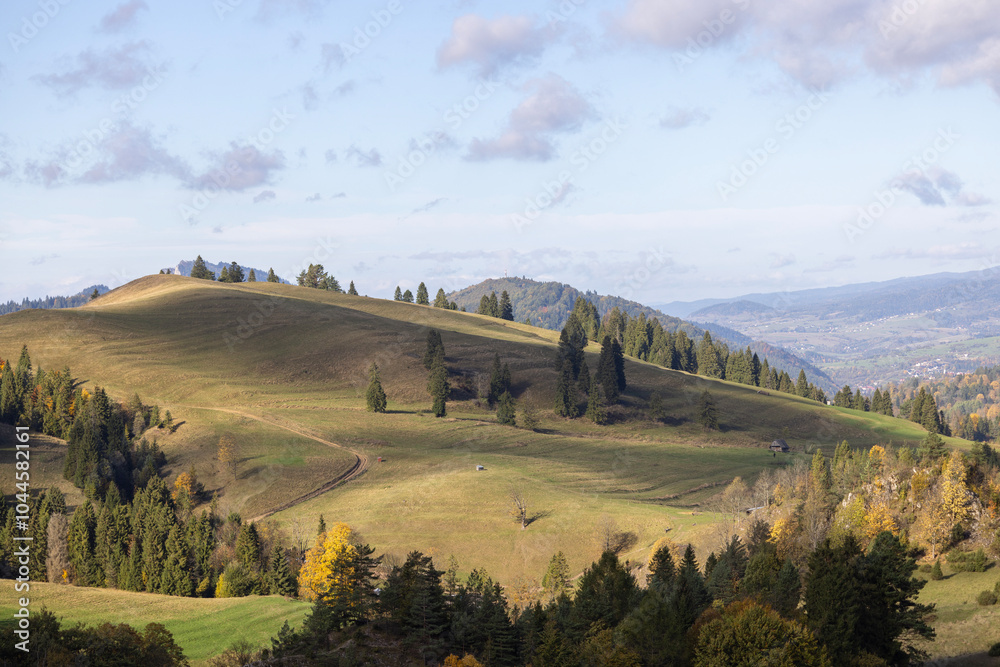 Picturesque view of the autumn landscape in the Pieniny Mountains, colorful leaves on the trees, Szczawnica, Poland