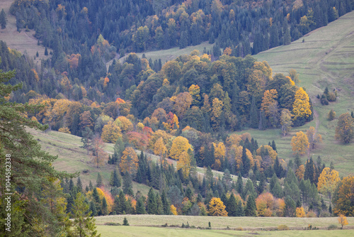 Obraz na płótnie Picturesque view of the autumn landscape in the Pieniny Mountains, colorful leaves on the trees, Szczawnica, Poland w salonie