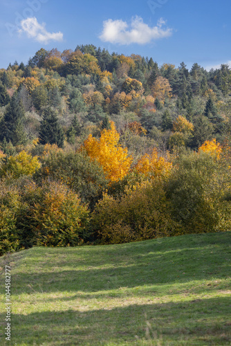 Obraz na płótnie Picturesque view of the autumn landscape in the Pieniny Mountains, colorful leaves on the trees, Szczawnica, Poland w salonie