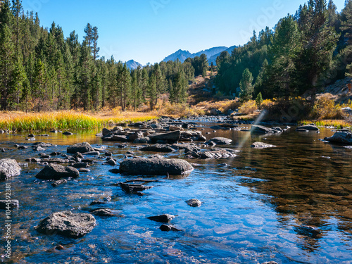 Spring time in Eastern Sierra Nevada