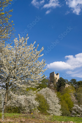 Valecov castle ruins, Middle Bohemia, Czech Republic photo