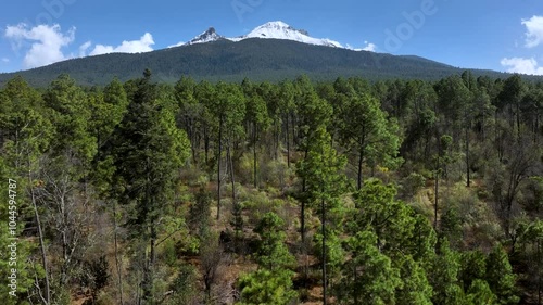 Drone video of a forest in Mexico and a famous mountain covered in snow in the background photo