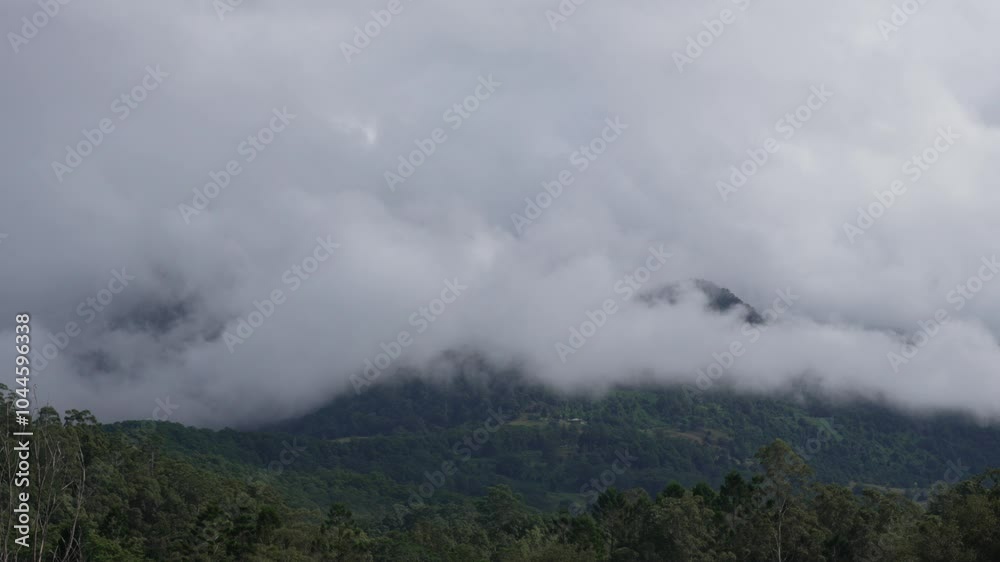 Scenic Time Lapse of forest landscape with clouds moving past the mountains in Springbrook National Park, Australia. Scenic Time Lapse of forest landscape with clouds moving past the mountains in Springbrook National Park, Australia.