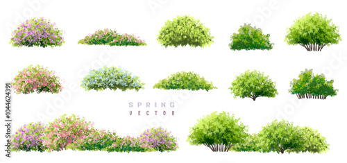 Vertor set of spring blossom tree,blooming plants side view for landscape elevation and section,eco environment concept design,watercolor shrub illustration,colorful season