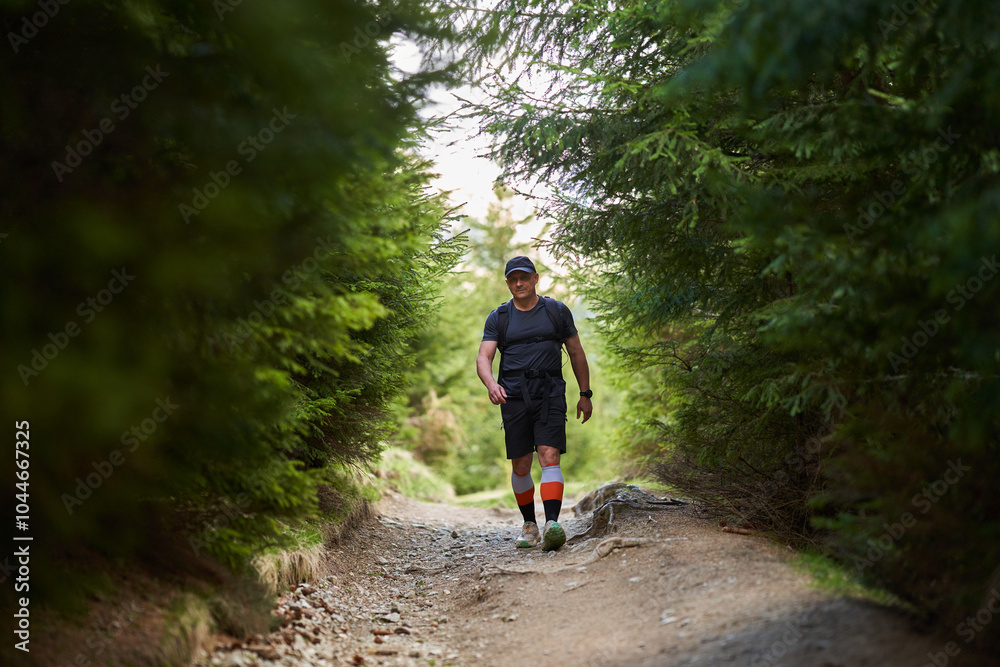 Man hiker with backpack in the pine forest Man hiker with backpack in the pine forest