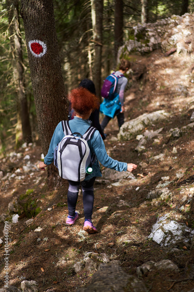 Women hikers in a group on a hiking trail