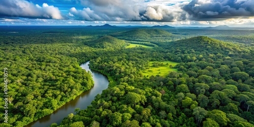 Aerial view of the lush, untamed forests of French Guyana , jungle, canopy, wilderness, adventure, aerial, lush