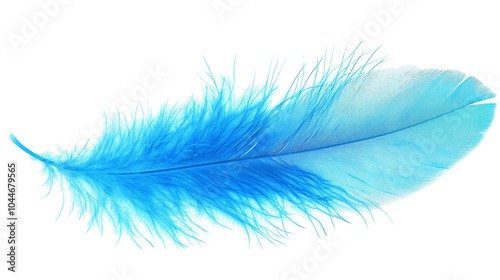 Vivid blue feather on a purple background, study in color and texture