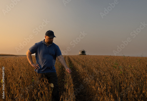 Harvesting of soybean field with combine.