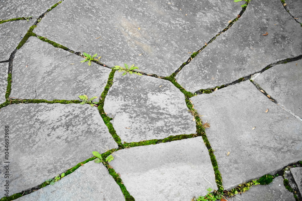 Obraz premium 形が不ぞろいな石畳
