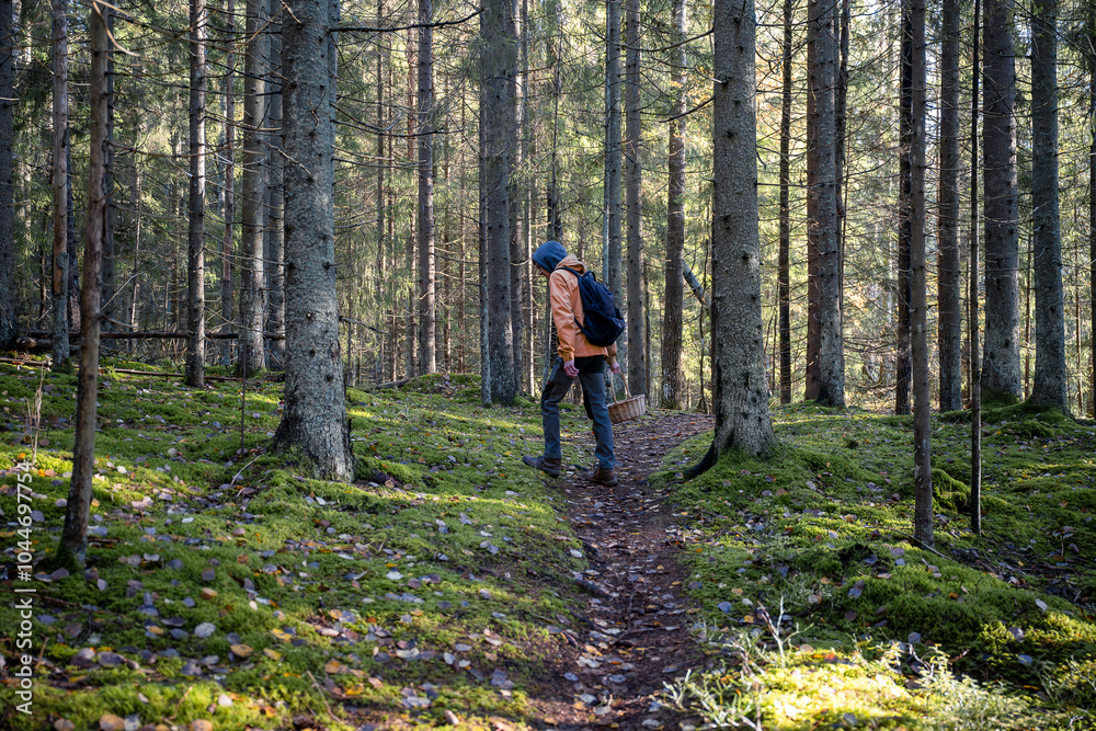 man in an yellow jacket with a backpack walking in the autumn forest man in an yellow jacket with a backpack walking in the autumn forest