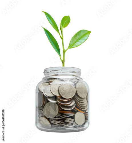 Plant growing with coins in glass bottle isolated on white background, banking finance economy.