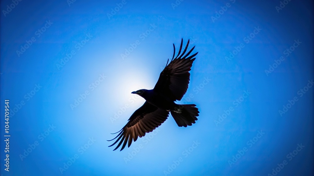 Silhouette of isolated crow in flight against clear blue sky Silhouette of isolated crow in flight against clear blue sky