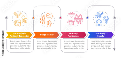 Antibody production process rectangular infographics. Phage display. Antibody purification. Visualization template 5 options. Horizontal flowchart with line icons. Myriad Pro-Bold, Regular fonts used