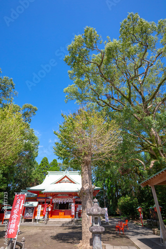 Obraz na płótnie 大汝牟遅神社
w salonie