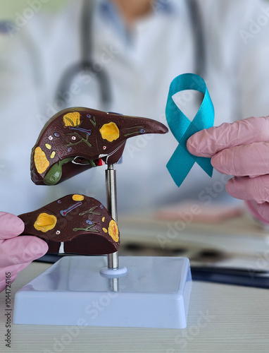 Doctor with green ribbon and liver. Liver cancer oncology causes symptoms photo