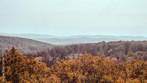 Panoramic view of misty hills covered with trees. Forest during autumn. Landscape background, wallpaper photo