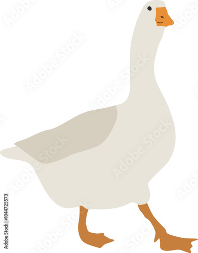 Flat goose illustration. Vector clipart of domestic bird. Farming