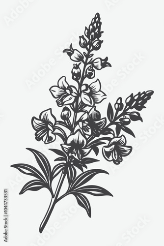 Elegant Snapdragon Branch with Flowers Silhouette Vector Design for Beautiful Floral Artwork