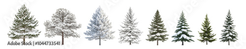 A collection of different snow-covered trees showcasing winter beauty.