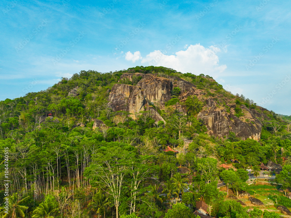 A mountain covered in trees and a house in the distance A mountain covered in trees and a house in the distance