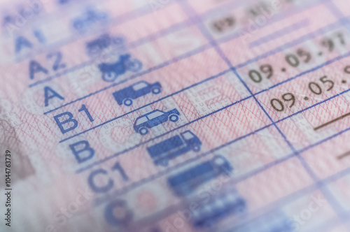 Wallpaper Mural EU-Führerschein in Deutschland Torontodigital.ca