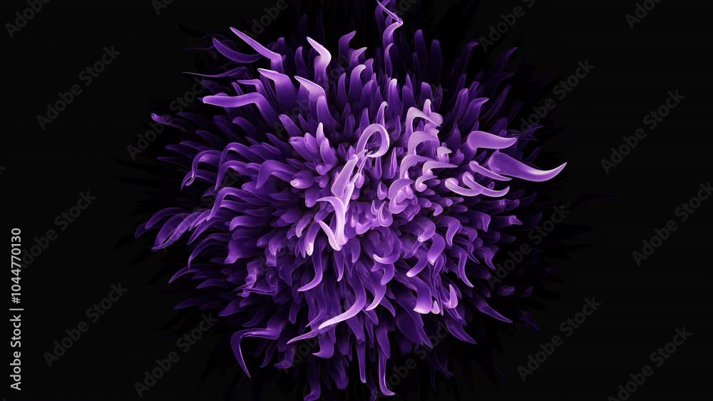 A vibrant purple flower made up of intricate, small petals stands out against a black background, creating a striking and captivating visual contrast