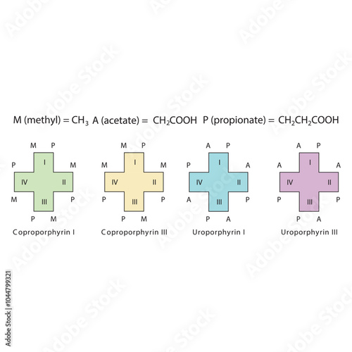 Diagram of Uroporphyrin and  Coproporphyrin molecules chemical molecular structure, featuring rings and substitutions. skeletal structure diagram. compound molecule scientific illustration.