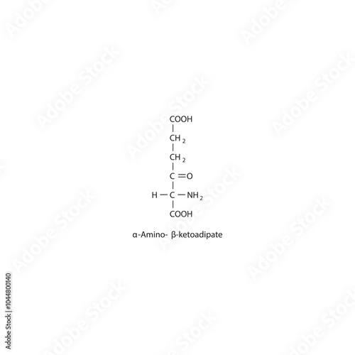 α-Amino-β-ketoadipate skeletal structure diagram.Bile pigment compound molecule scientific illustration.