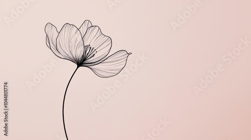 Elegant Line Art Flower on Soft Background