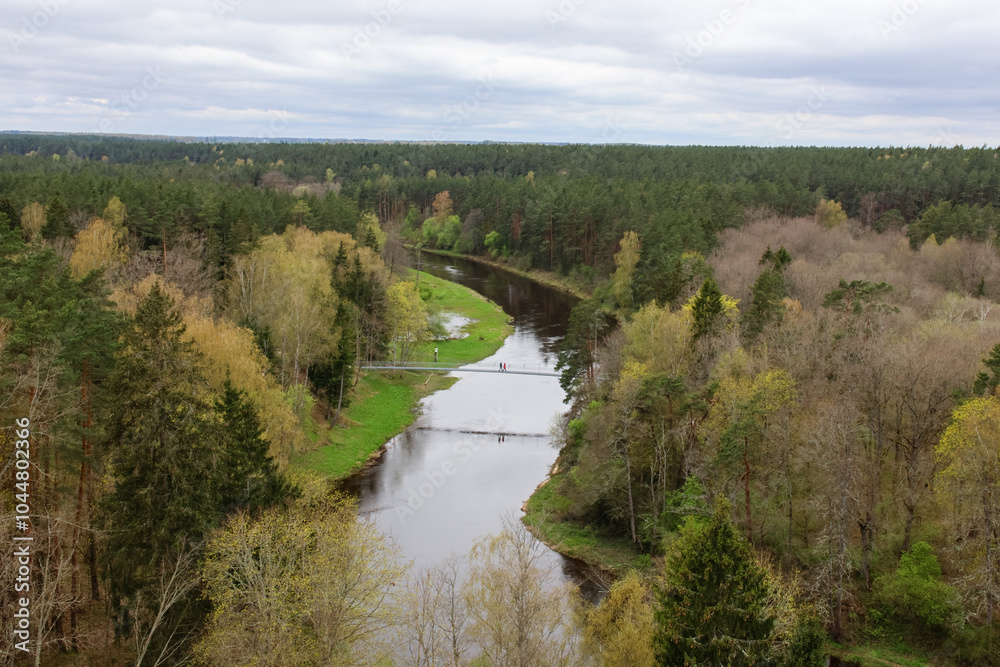 Obraz premium River flowing through lush green forest, captured from a high angle with cloudy skies in a peaceful countryside environment, horizontal