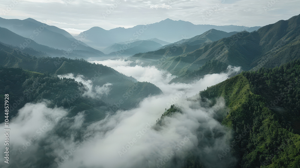 Misty clouds rolling over peaks of green mountains create serene and tranquil landscape. lush greenery contrasts beautifully with soft, white fog, evoking sense of peace and wonder Misty clouds rolling over peaks of green mountains create serene and tranquil landscape. lush greenery contrasts beautifully with soft, white fog, evoking sense of peace and wonder