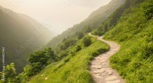 Image of a road in nature