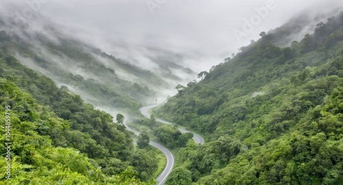 Image of a road in nature