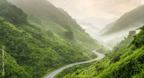 Image of a road in nature