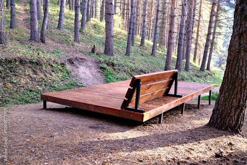 Wooden platform bench in pine forest, minimalist outdoor seating area along hiking trail