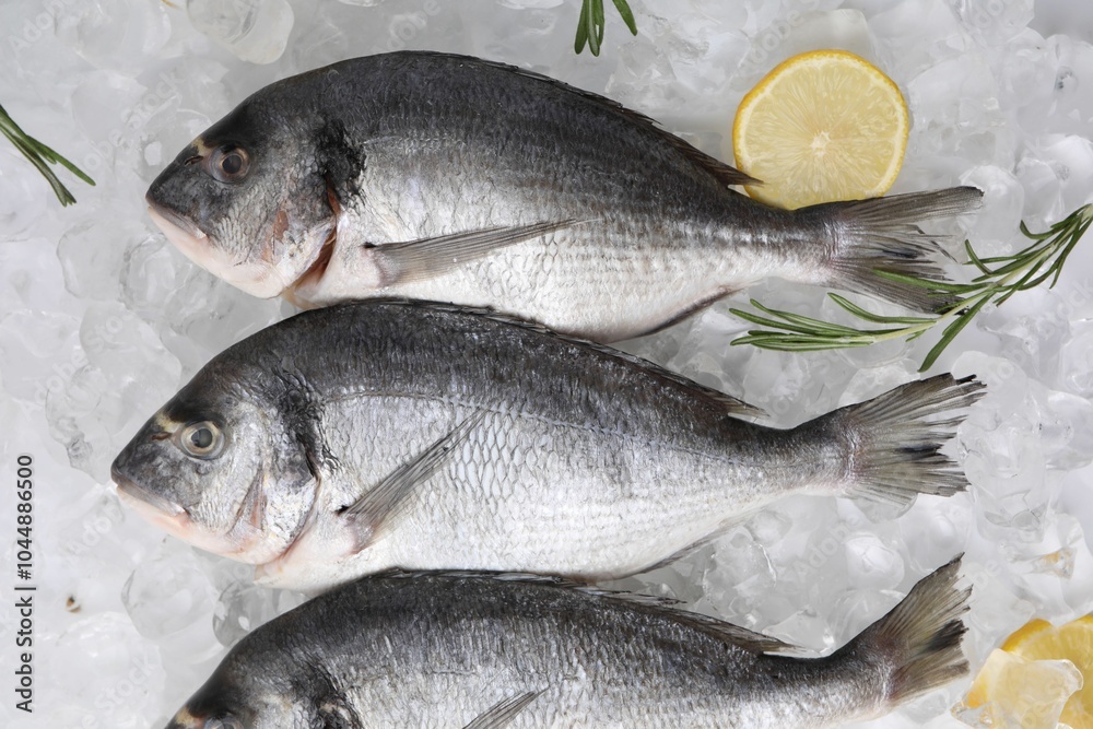 Sea food. Fresh raw fish, lemons and rosemary on ice cubes, flat lay Sea food. Fresh raw fish, lemons and rosemary on ice cubes, flat lay