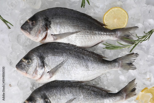 Sea food. Fresh raw fish, lemons and rosemary on ice cubes, flat lay