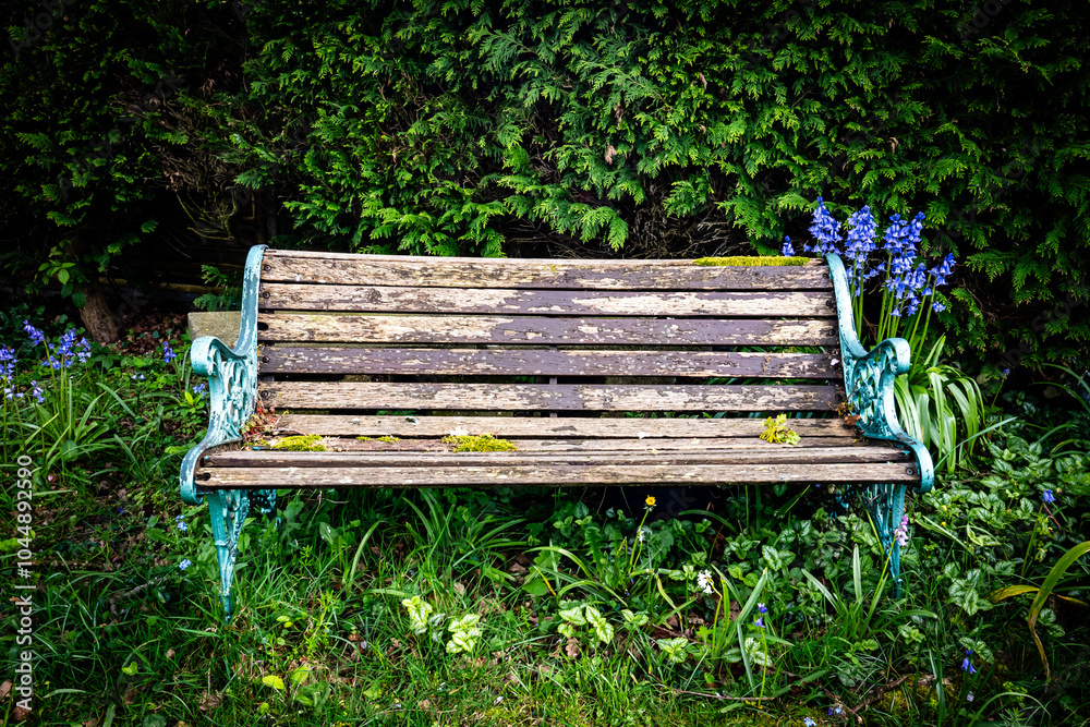 Abandoned bench with bluebells Abandoned bench with bluebells